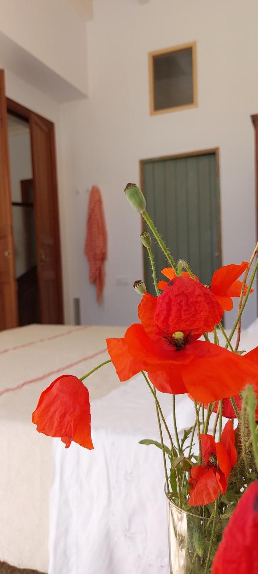 Idayvuelta Home & Suites With Private Pool Ses Salines  Dış mekan fotoğraf